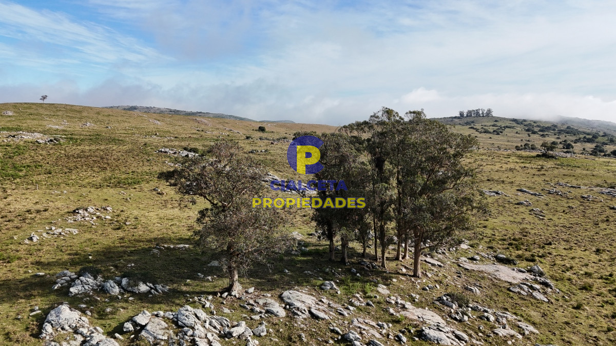 24 hectáreas con aguada natural en Lavalleja - GoPunta - Portal Inmobiliario de Punta del Este - Maldonado