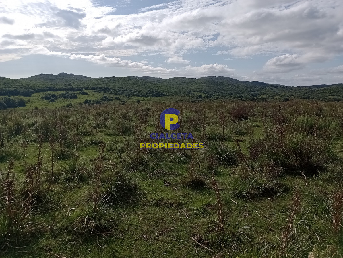 Campo Ref.141 - 490 hectáreas en Maldonado
