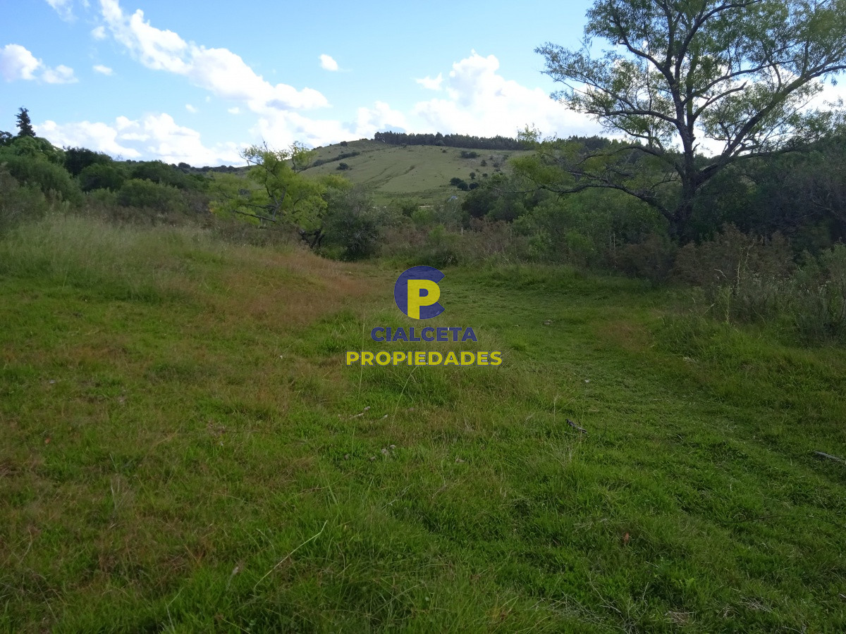 Campo Ref.74 - Propiedad única a la venta
