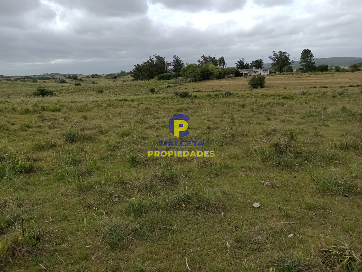 Campo Ref.358 - 198 hectáreas en Garzón