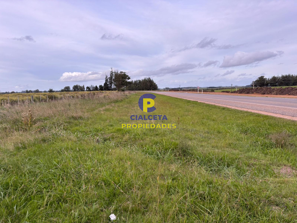 Campo Ref.418 - 50 hectáreas sobre ruta 9
