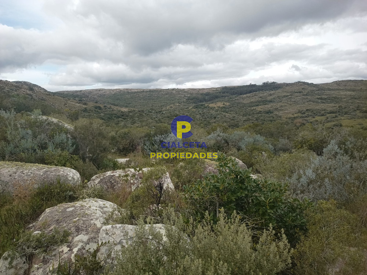 Campo Ref.440 - 38 hectáreas en Aiguá