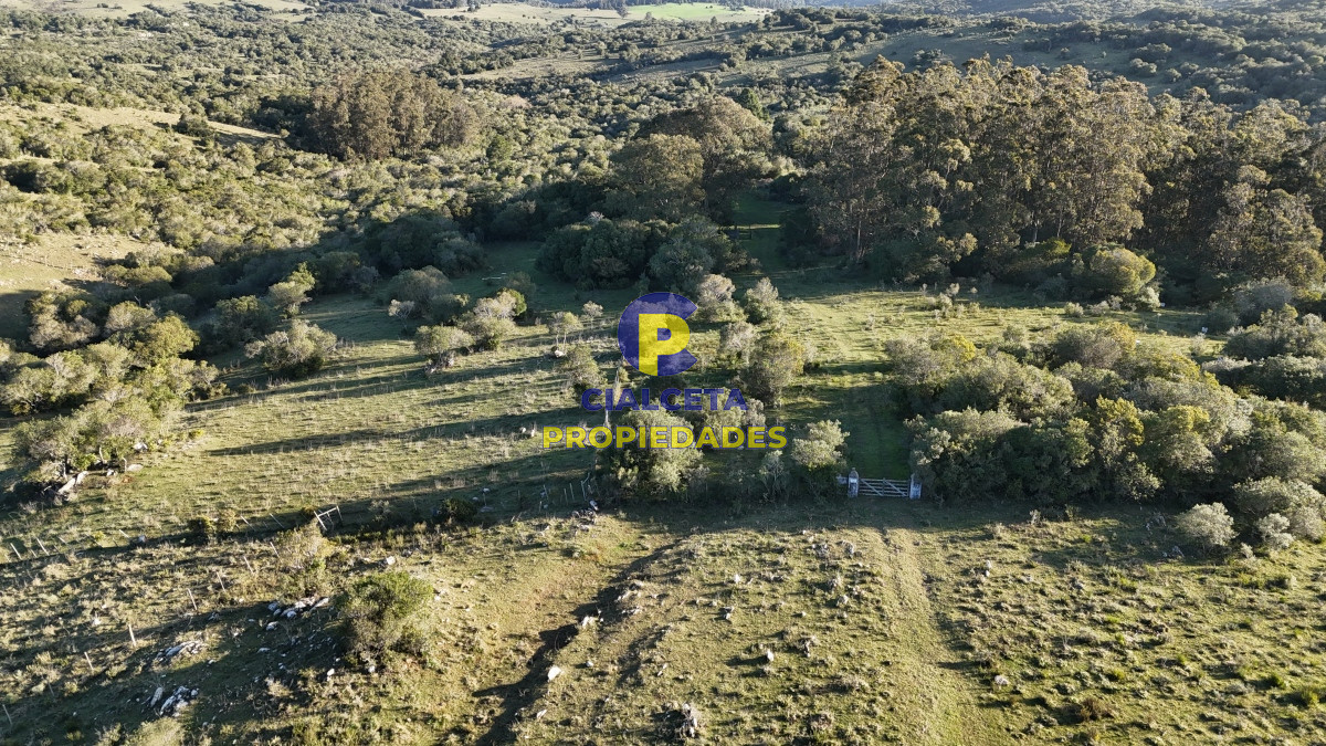Campo Ref.526 - 60 hectáreas con casa , monte nativo, hermoso lugar