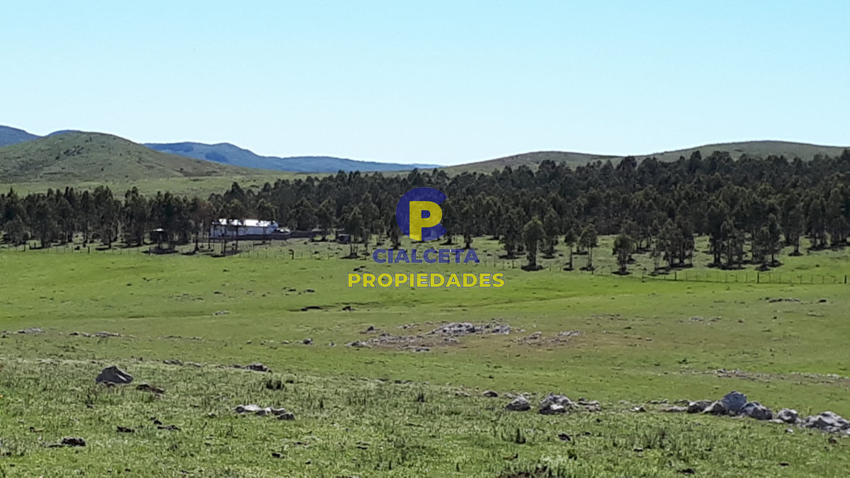 Campo Ref.323 - 115 hectáreas en Lavalleja