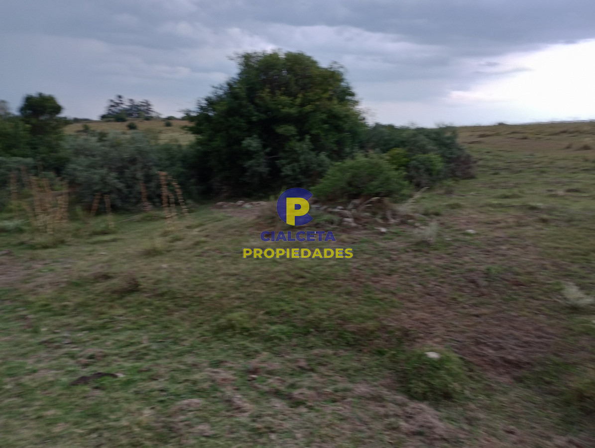 Campo Ref.183 - Chacras de 5 hectáreas
