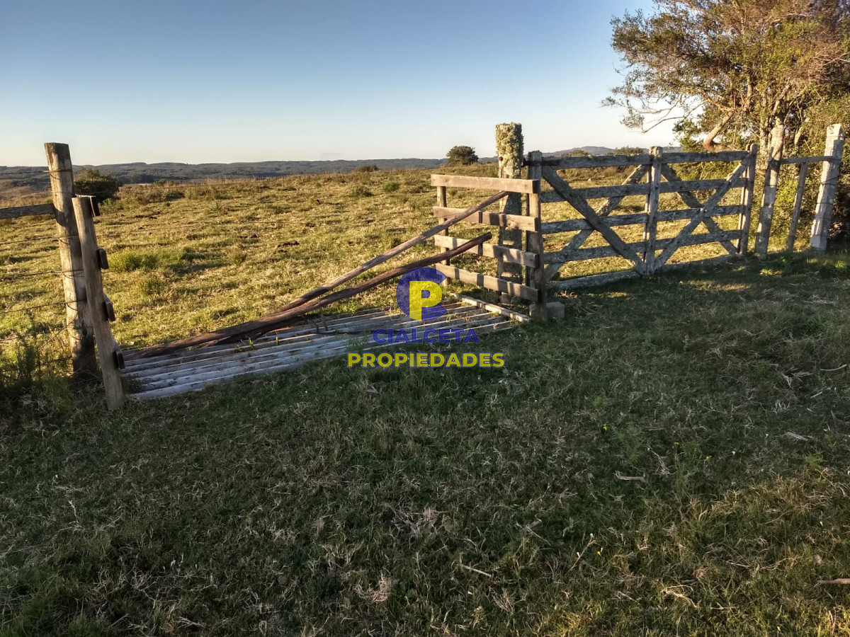 Campo Ref.243 - 60 hectáreas en Garzón