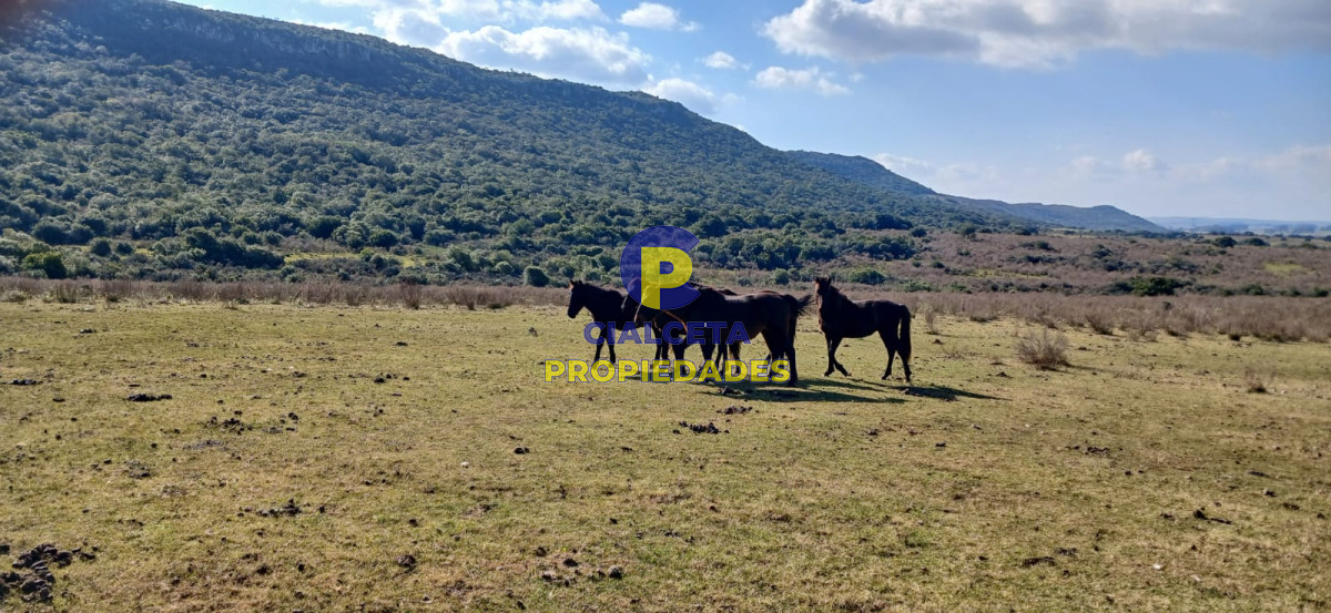 386 hectáreas en Maldonado - GoPunta - Portal Inmobiliario de Punta del Este - Maldonado