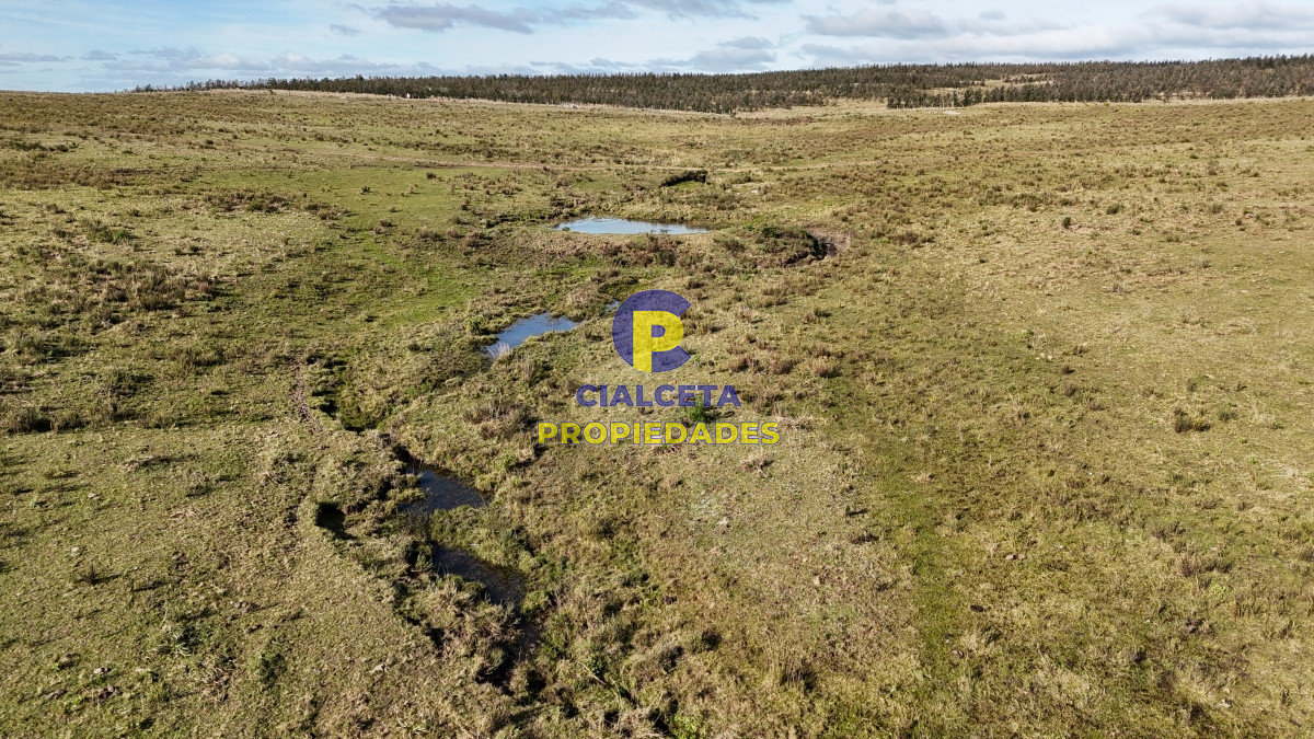 Campo Ref.465 - 24 hectáreas en Lavalleja, a 6 km de Villa Serrana