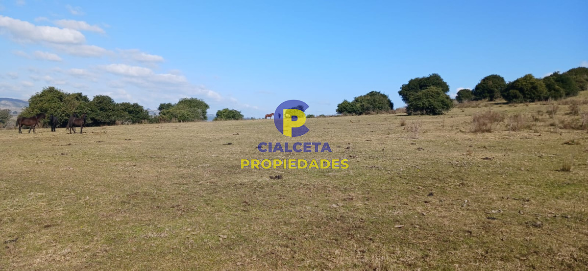 386 hectáreas en Maldonado - GoPunta - Portal Inmobiliario de Punta del Este - Maldonado