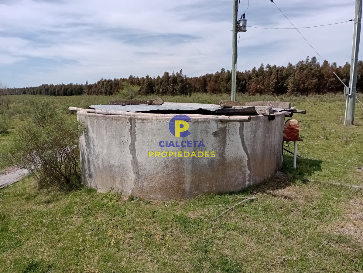 Campo Ref.313 - 73 hectáreas en Canelones