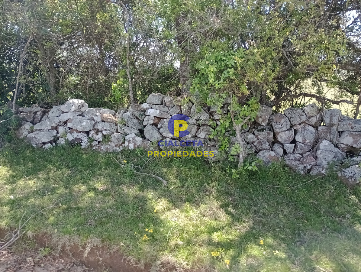 Campo Ref.209 - 5 hectáreas en Pueblo Edén