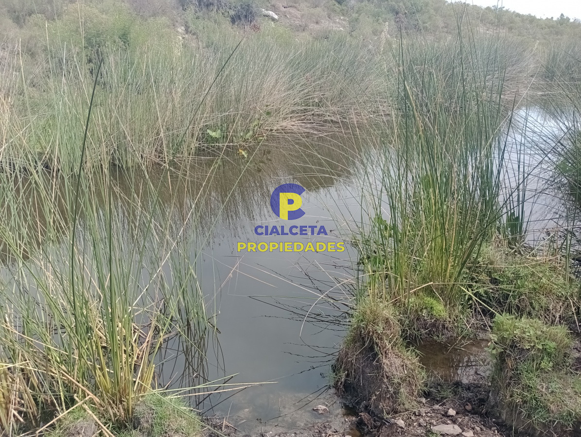 Campo Ref.79 - 170 hectáreas en lavalleja