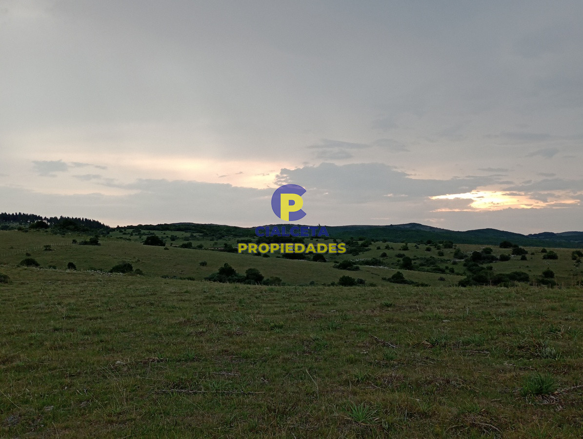 Campo Ref.183 - Chacras de 5 hectáreas