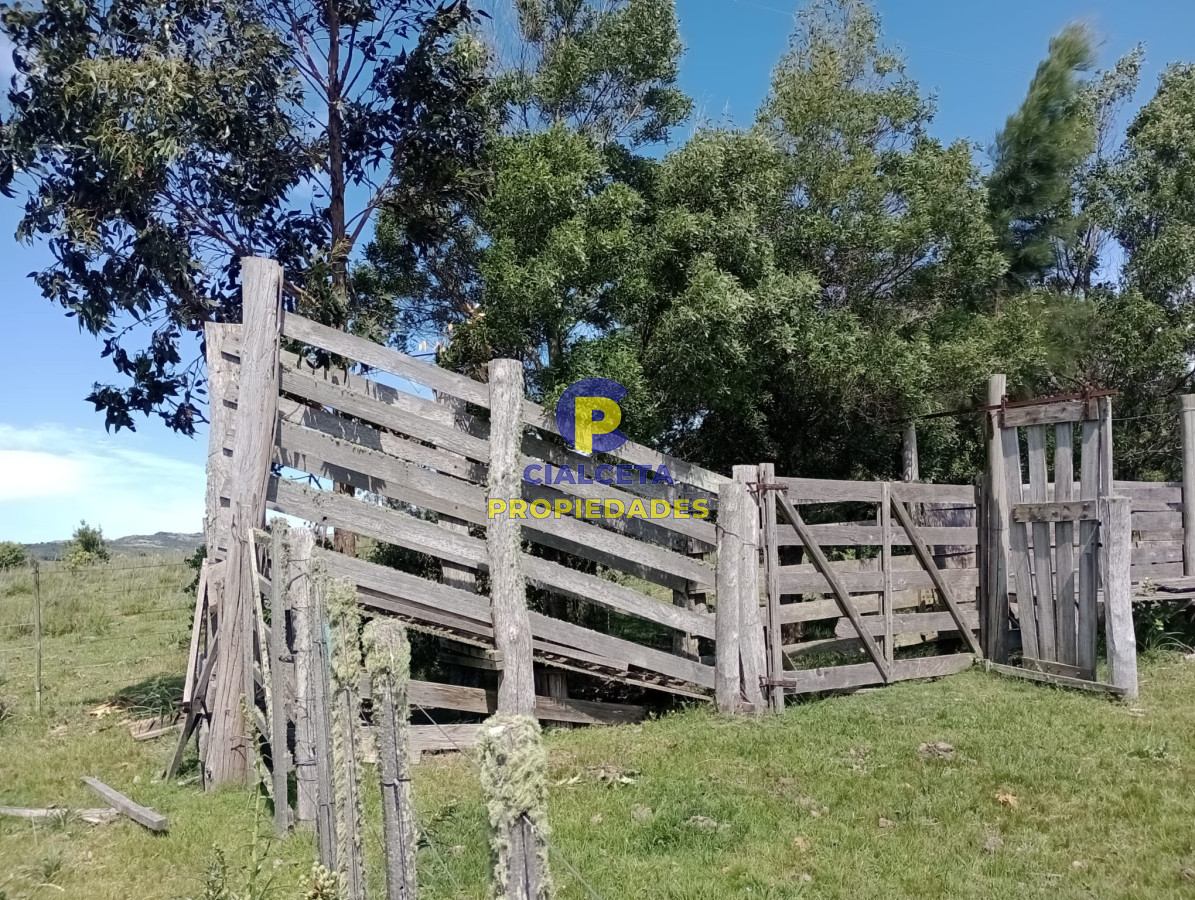 Campo Ref.344 - 54 hectáreas con 9.722 metros en Maldonado