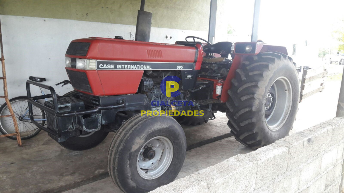 Campo Ref.178 - Campo con olivos en producción