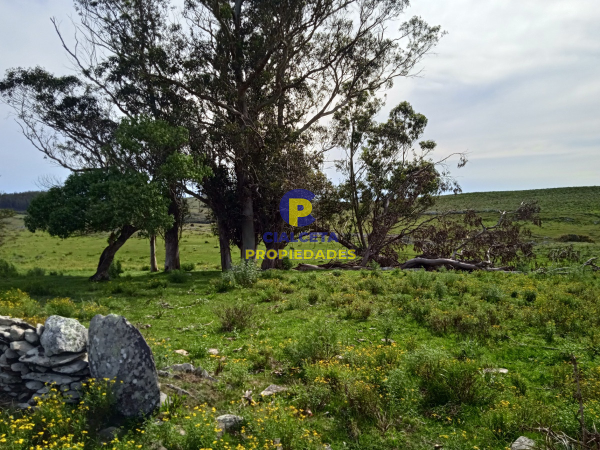 Campo Ref.106 - 79 hectáreas en Lavalleja, ideal fraccionamiento