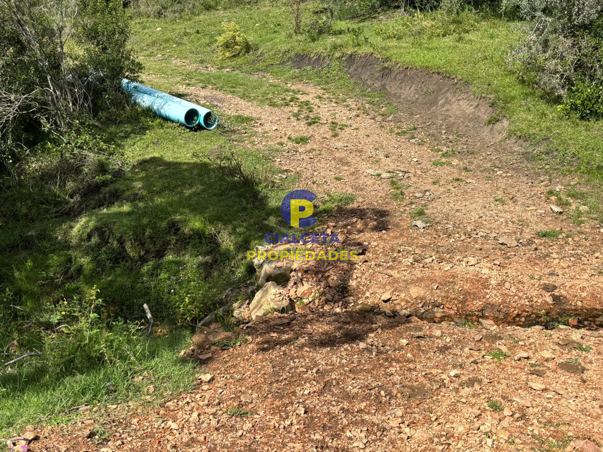 Campo Ref.428 - 29 hectáreas y media con excelente vista