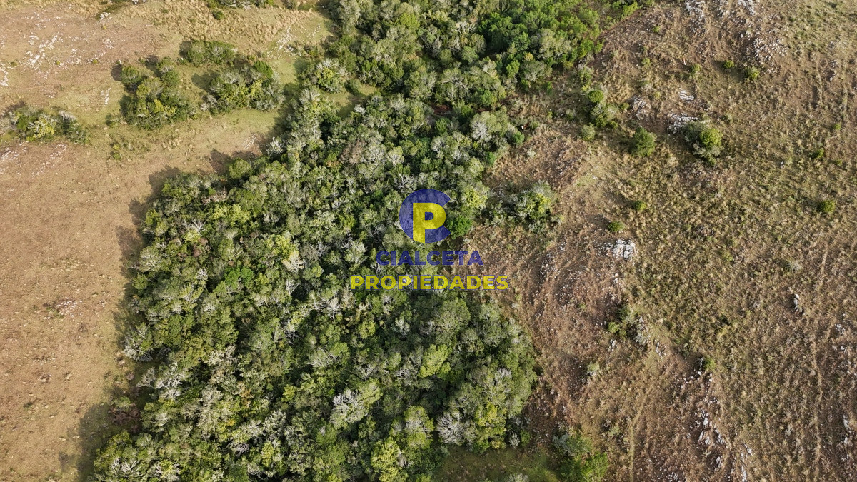Campo Ref.441 - 200 hectáreas con muy buena vista