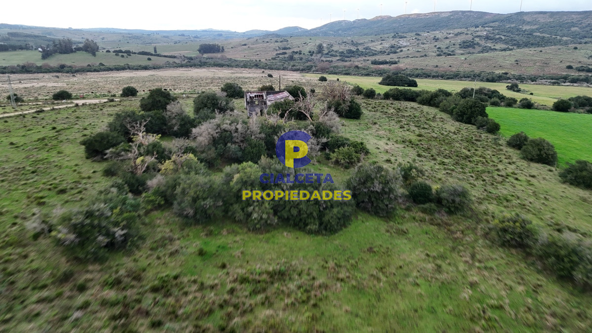 Campo Ref.461 - 60 hectáreas con arroyo y cañada en Maldonado