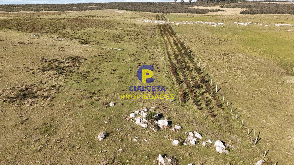 Campo Ref.465 - 24 hectáreas en Lavalleja, a 6 km de Villa Serrana