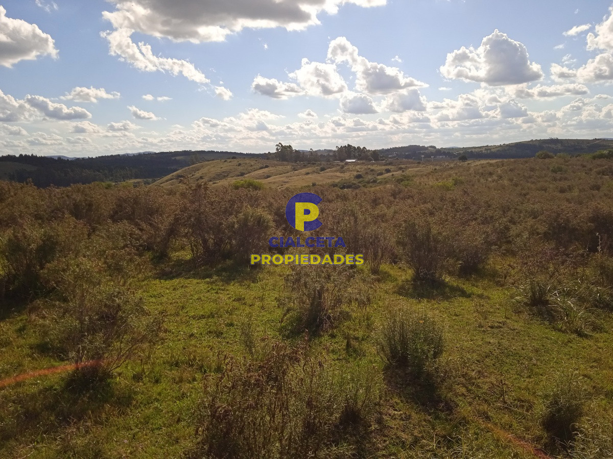 Campo Ref.74 - Propiedad única a la venta