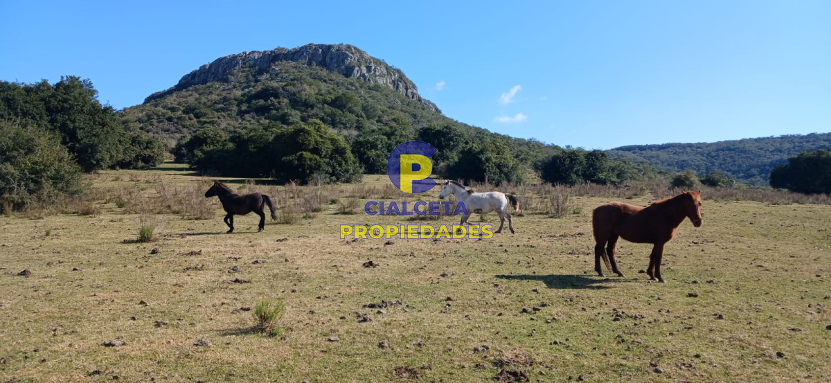 386 hectáreas en Maldonado - GoPunta - Portal Inmobiliario de Punta del Este - Maldonado
