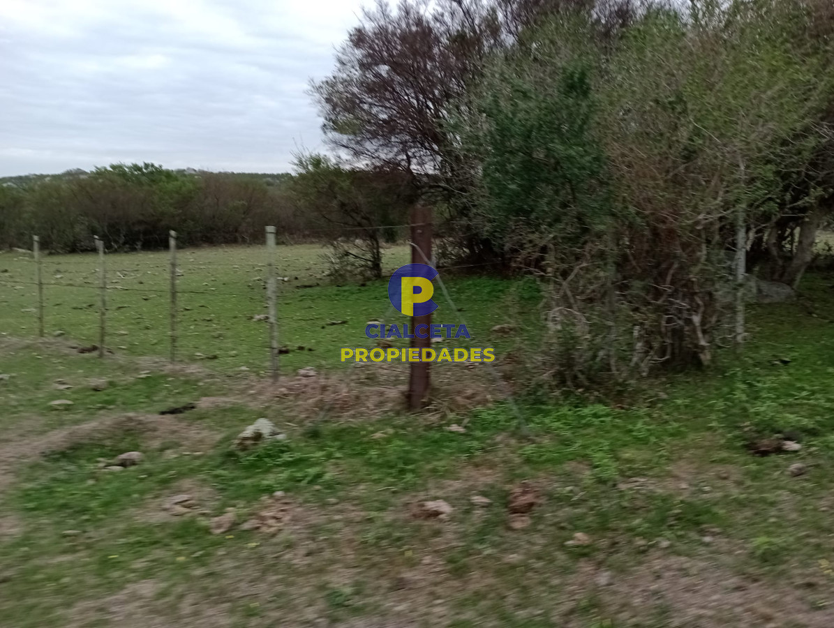 Campo Ref.217 - 664 hectáreas en Colonia