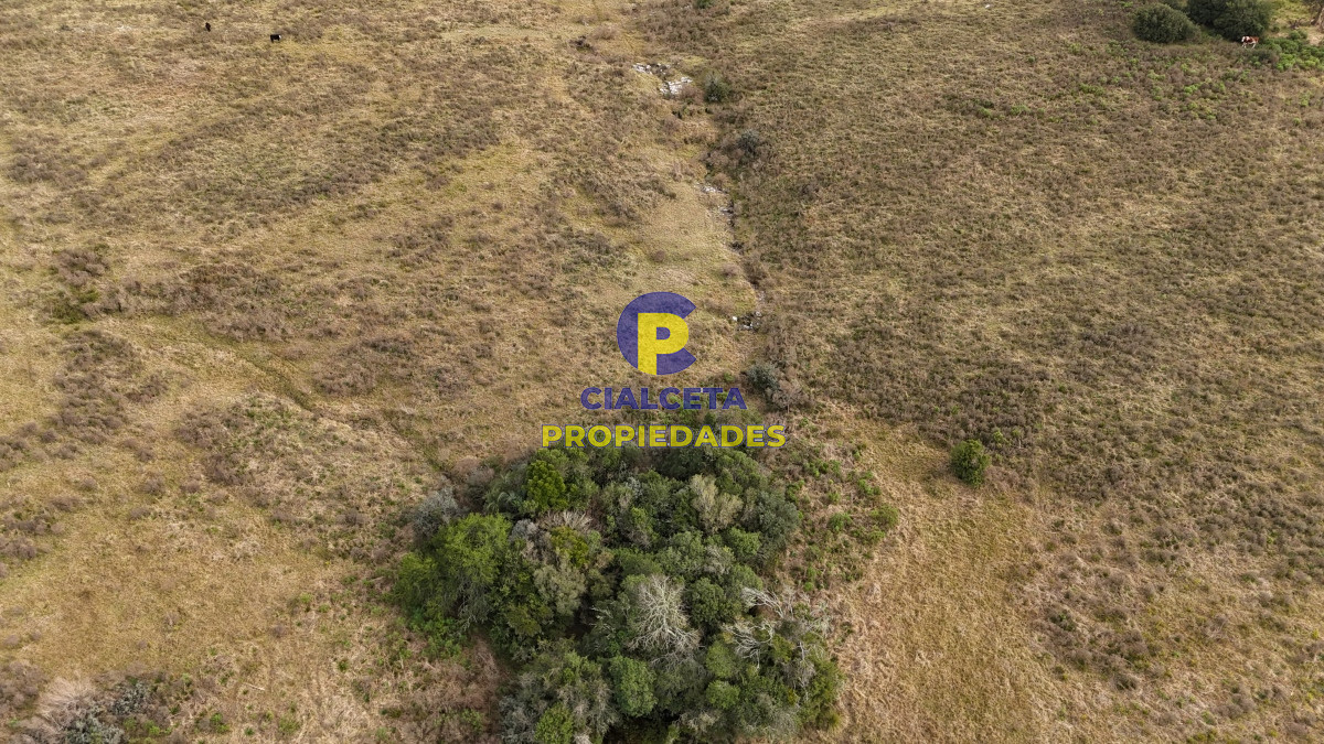 Campo Ref.502 - 86 hectáreas en Maldonado, con aguada, monte y cerro