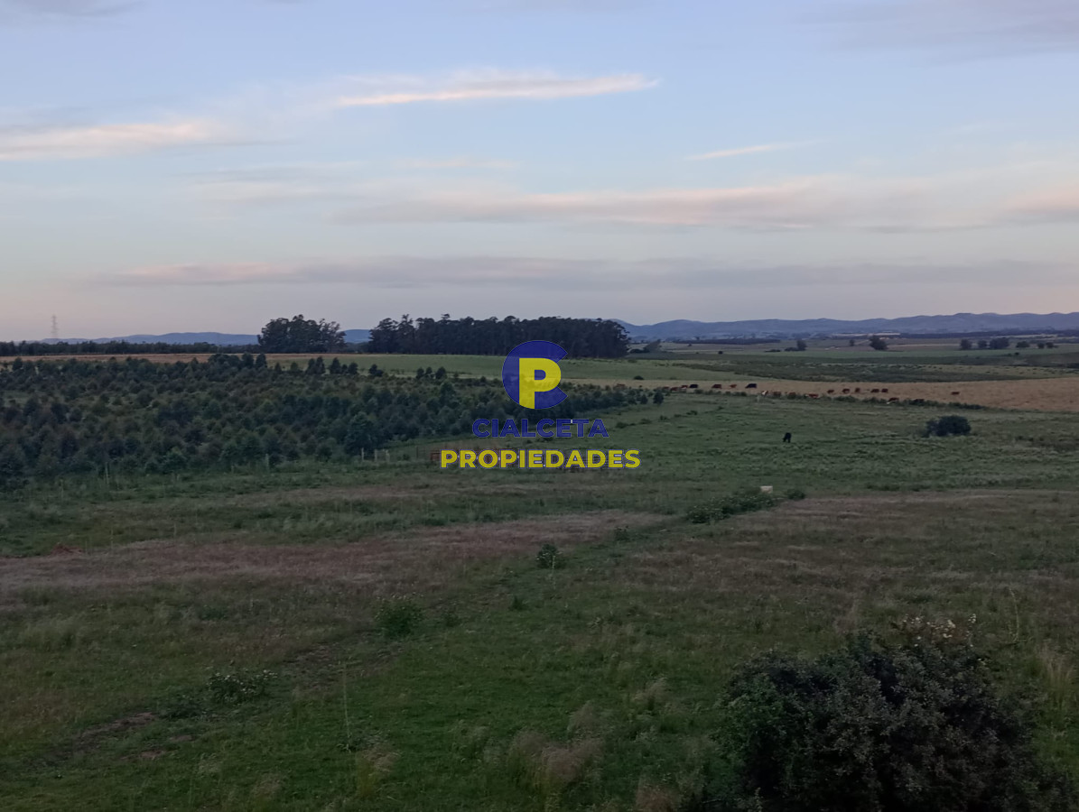 Campo Ref.342 - Campo con excelente casa