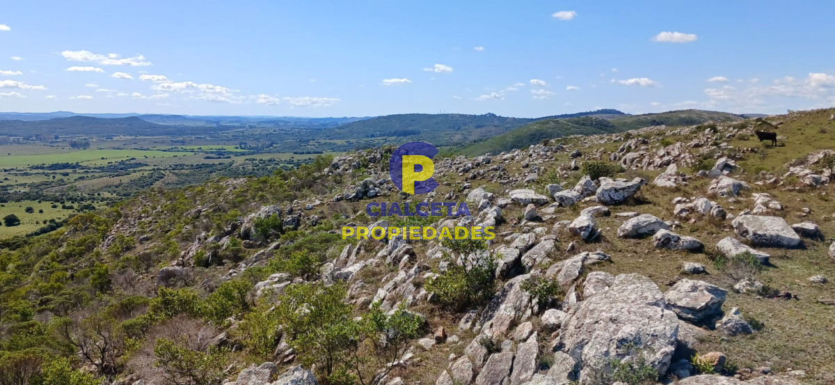 Campo Ref.308 - 395 hectáreas en Lavalleja