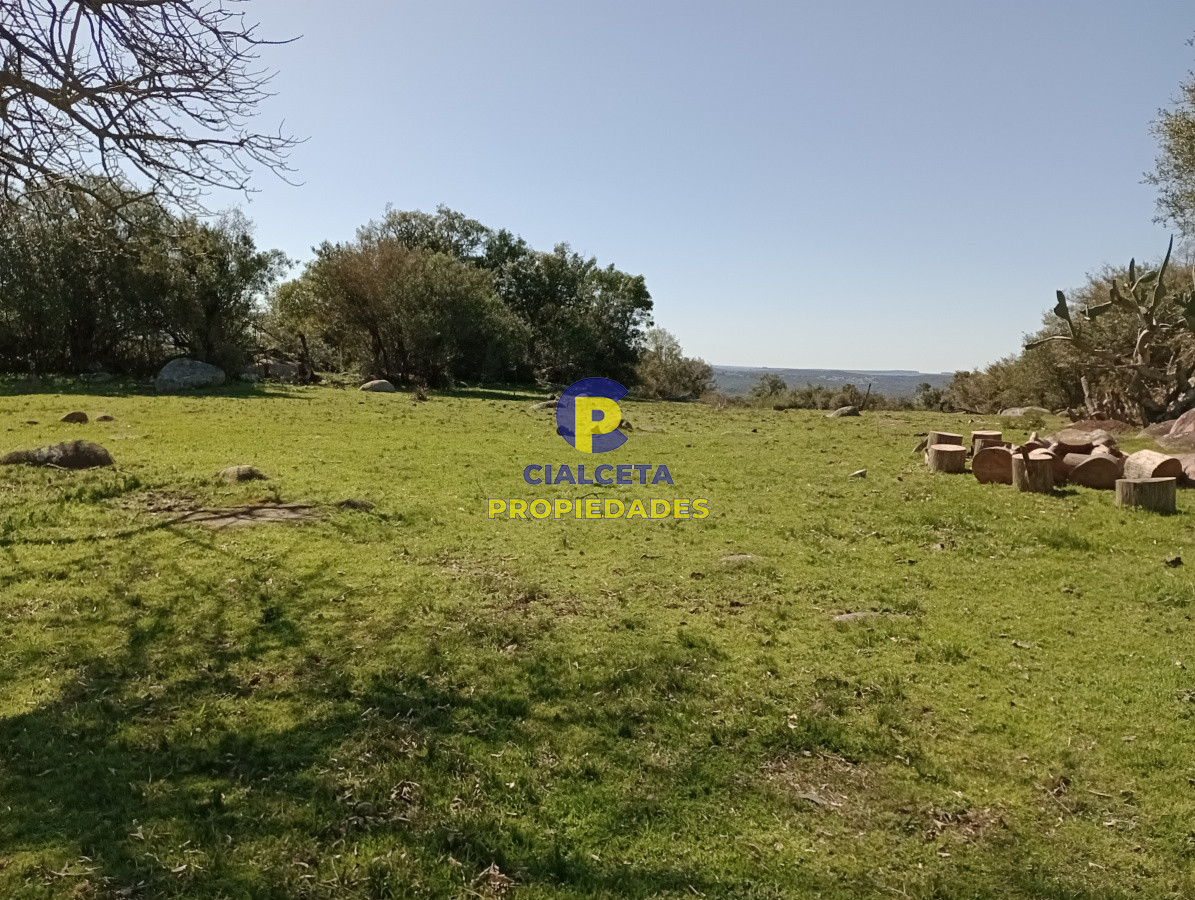 Campo Ref.136 - 811 hectáreas en Treinta y Tres
