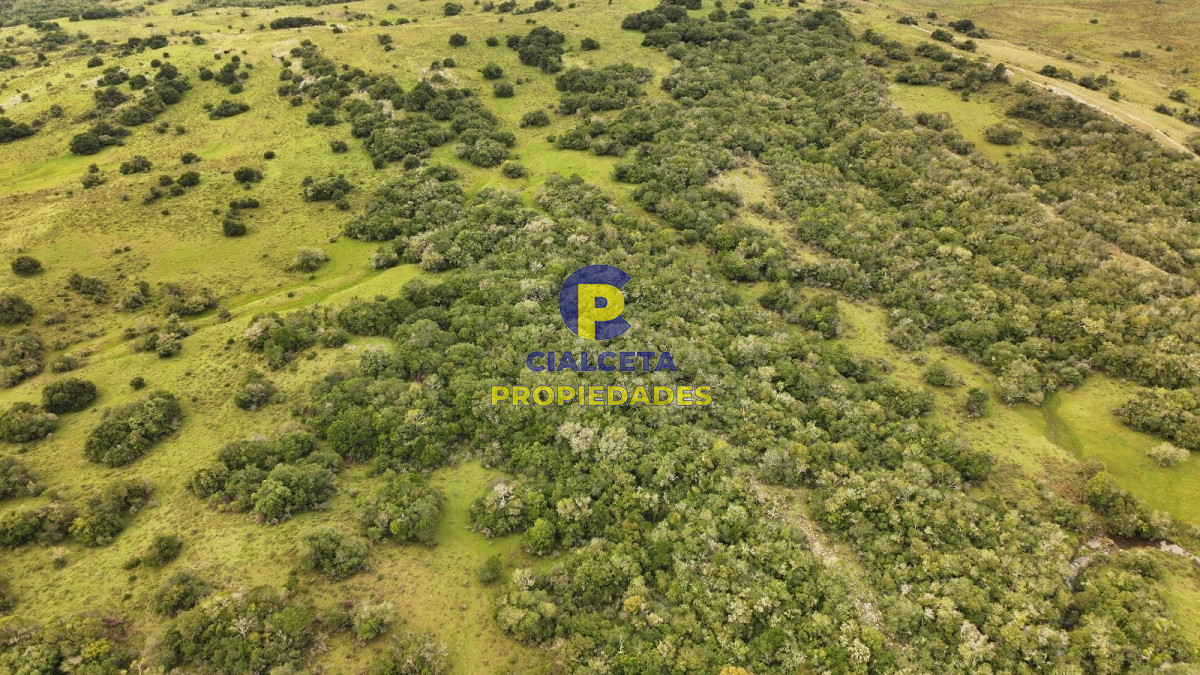 Campo Ref.426 - 116 hectáreas en Lavalleja