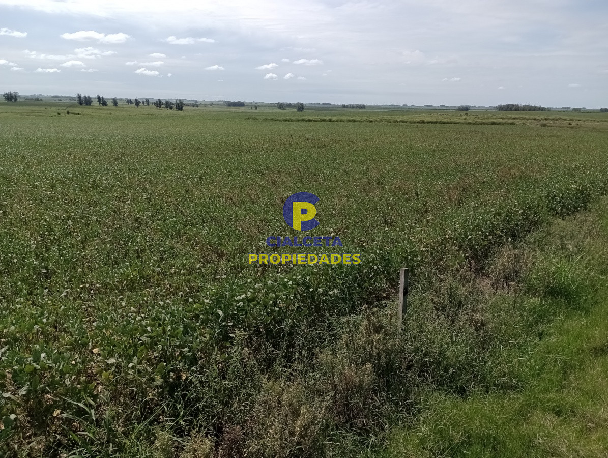 Campo Ref.68 - 350 hectáreas en lavalleja