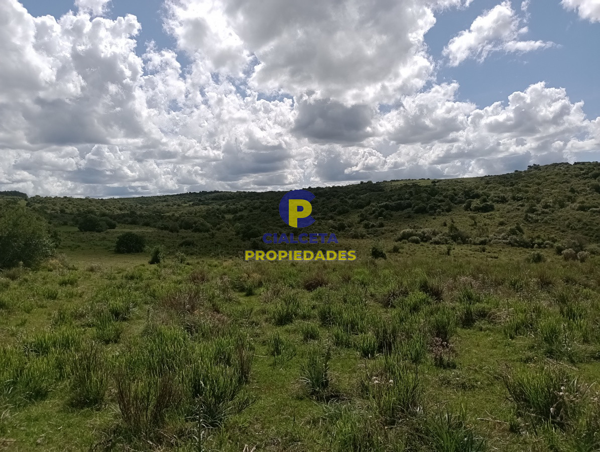 Campo Ref.102 - 98 hectáreas en Maldonado