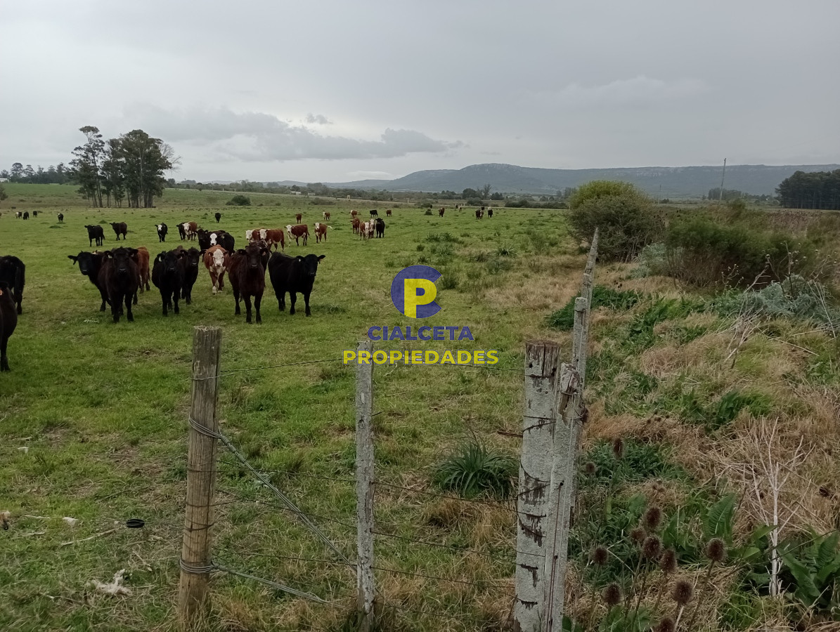 Campo Ref.505 - 110 hectáreas agrícolas ganaderas