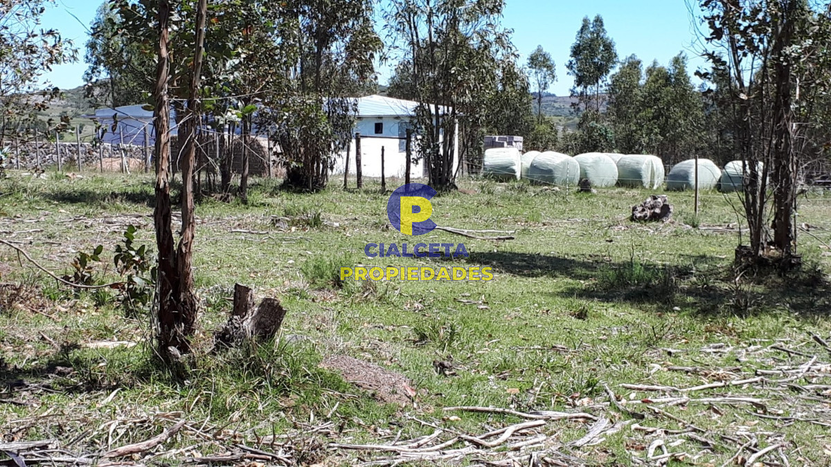 Campo Ref.323 - 115 hectáreas en Lavalleja