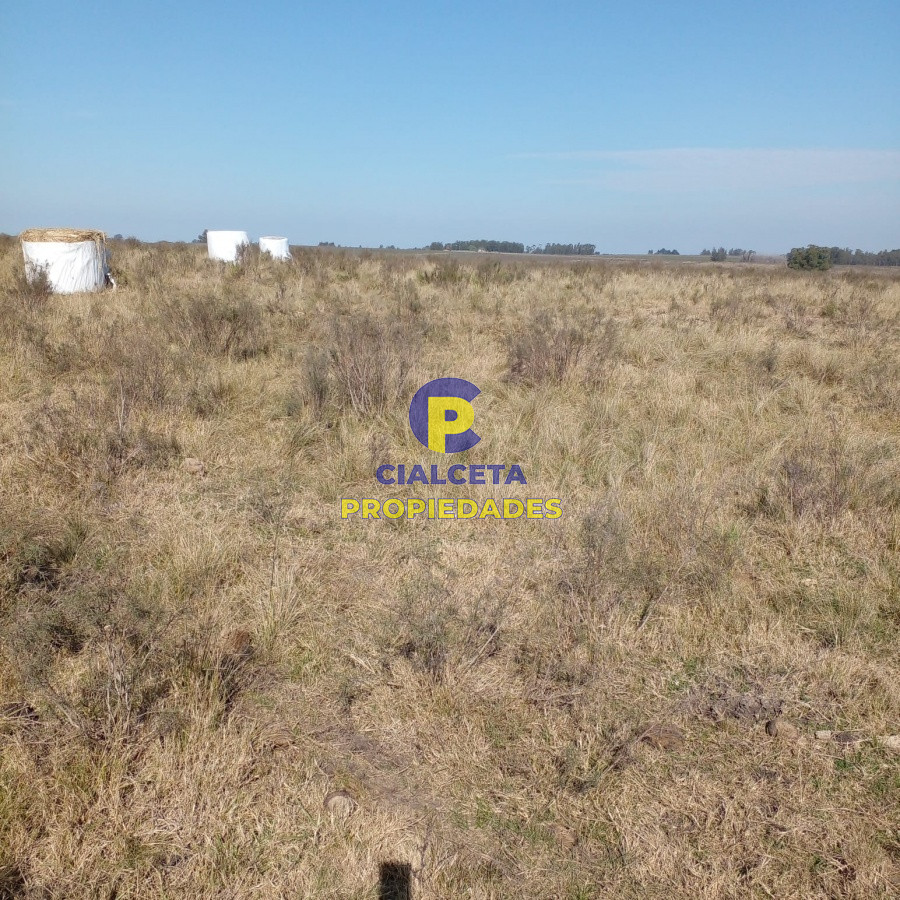 Campo Ref.97 - 130 hectáreas en Canelones
