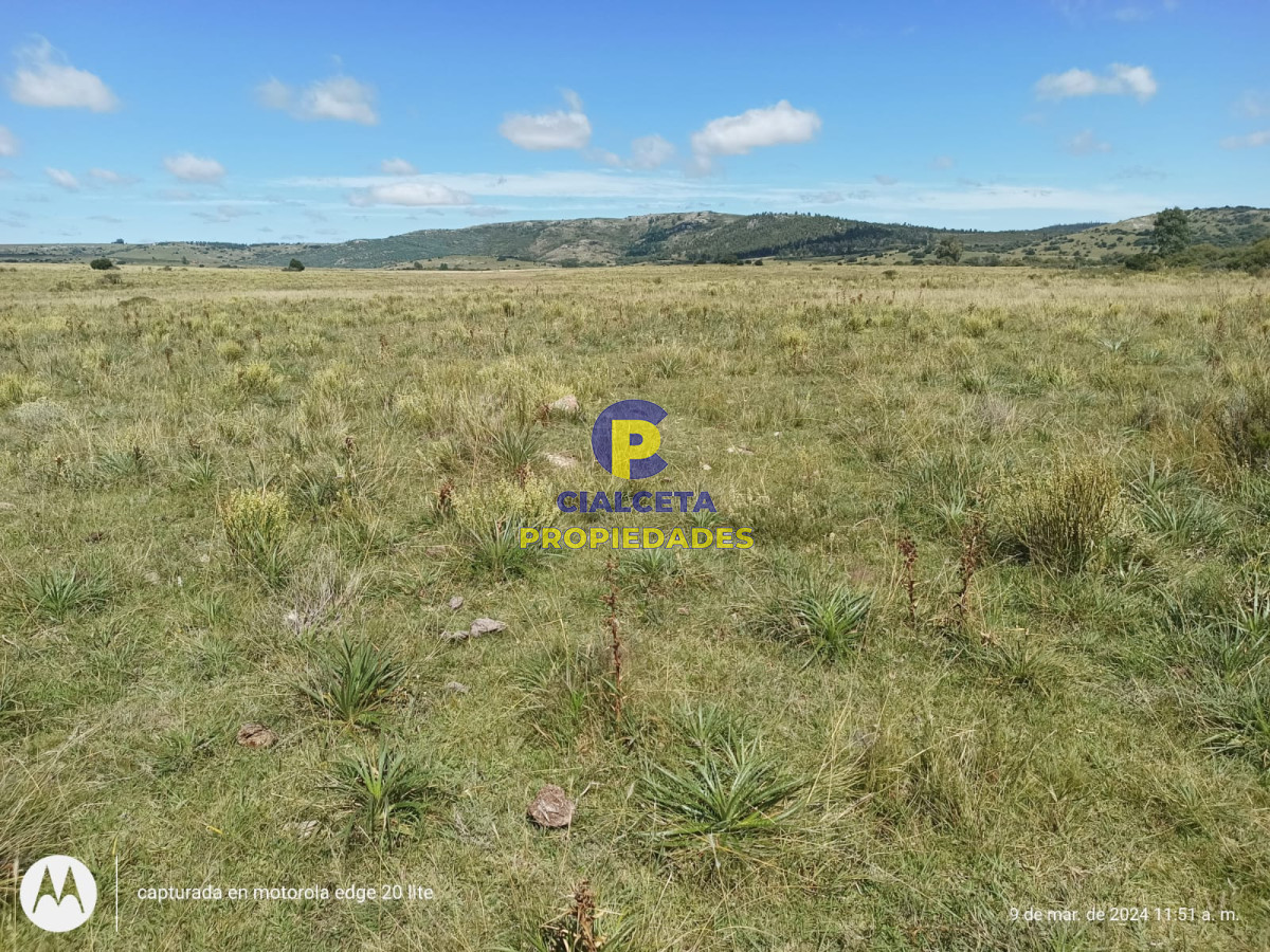 Campo Ref.408 - 16 hectáreas en Minas a la venta