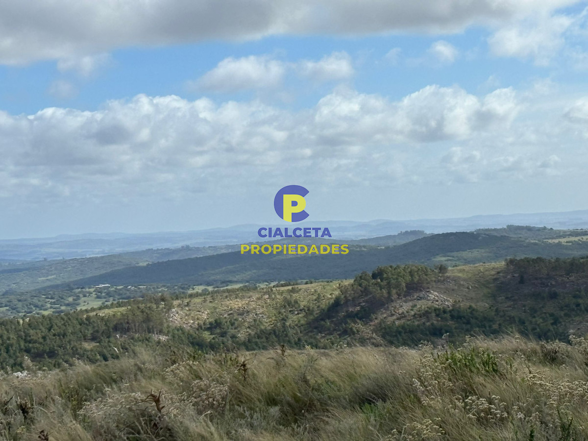 96 hectáreas en Maldonado, excelentes vistas - GoPunta - Portal Inmobiliario de Punta del Este - Maldonado