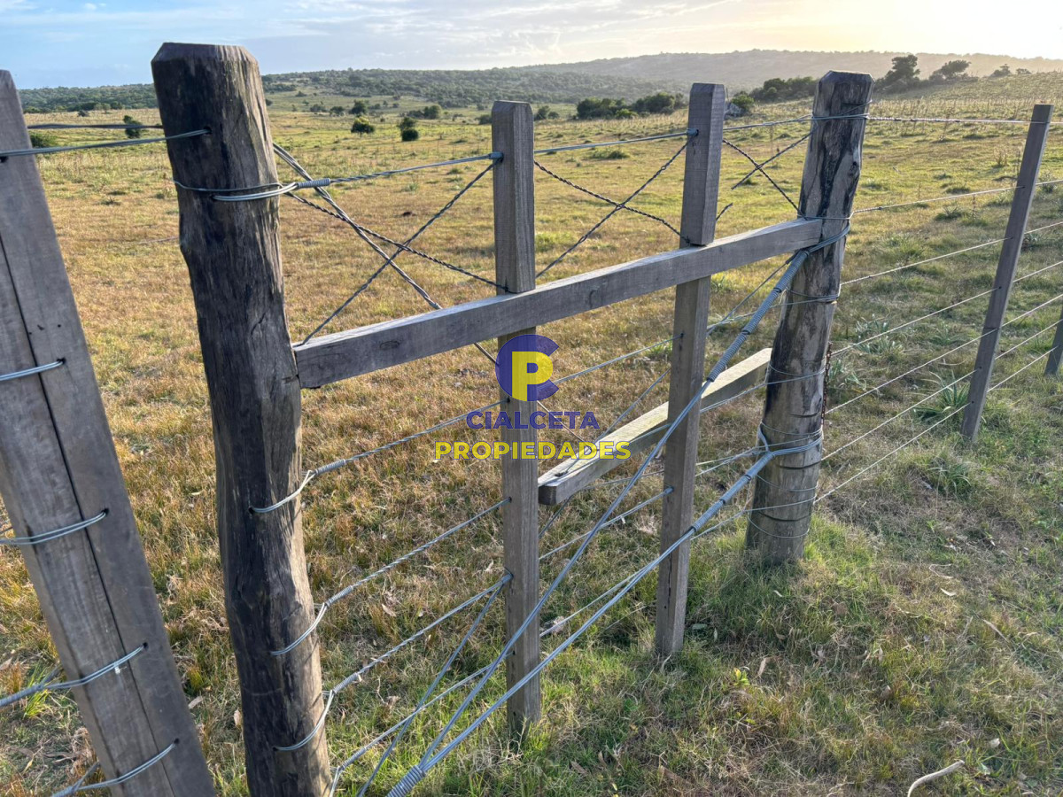 Campo Ref.399 - 121 hectáreas en Rocha