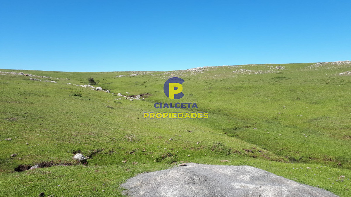 Campo Ref.322 - 100 hectáreas en Lavalleja