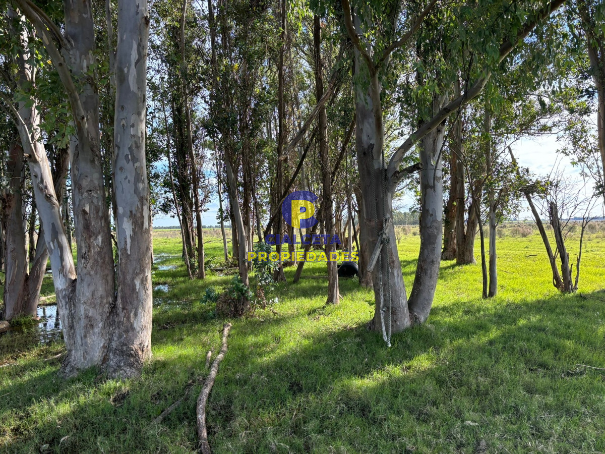 Campo Ref.437 - 15 hectáreas de buena tierra