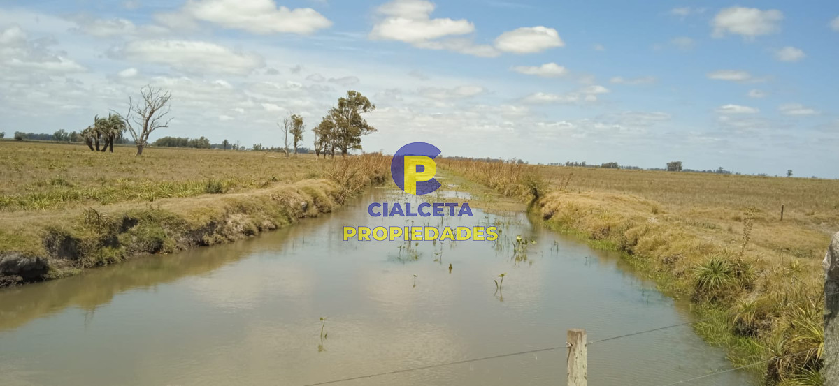 Campo Ref.75 - 643 hectáreas en 33