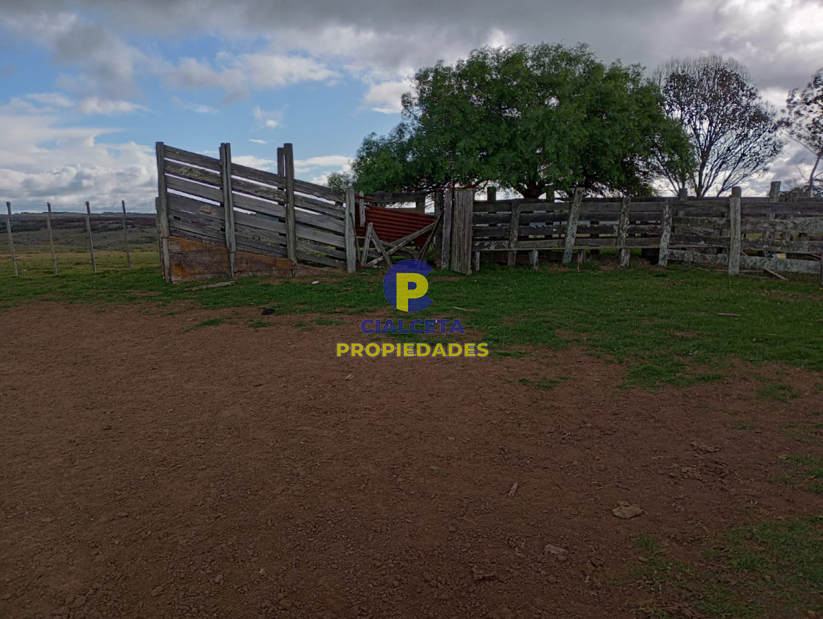 Campo Ref.175 - 140 hectáreas en Lavalleja