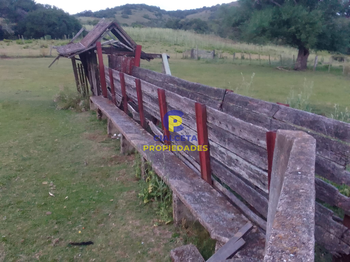 Campo Ref.89 - 330 hectáreas en Lavalleja