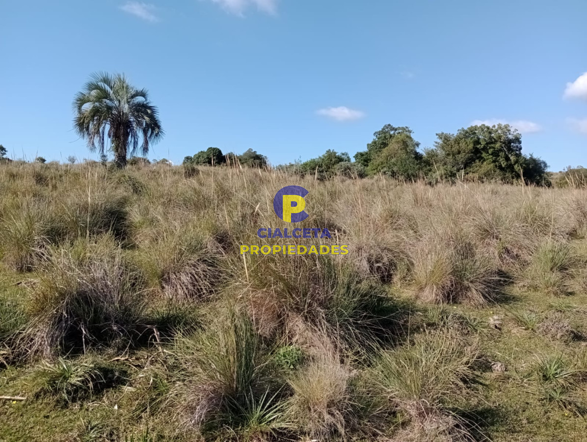 Campo Ref.228 - 39 hectáreas en Maldonado