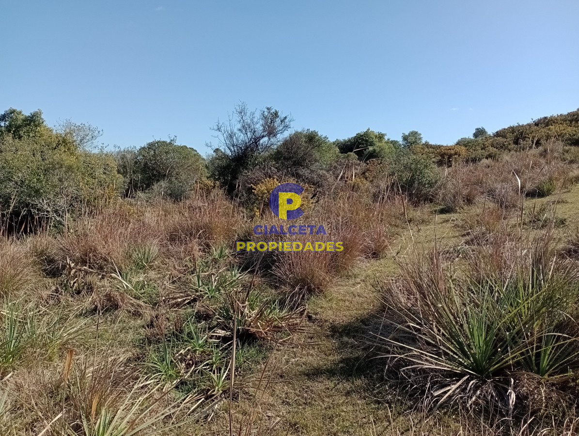 Campo Ref.98 - 125 hectáreas en Rocha