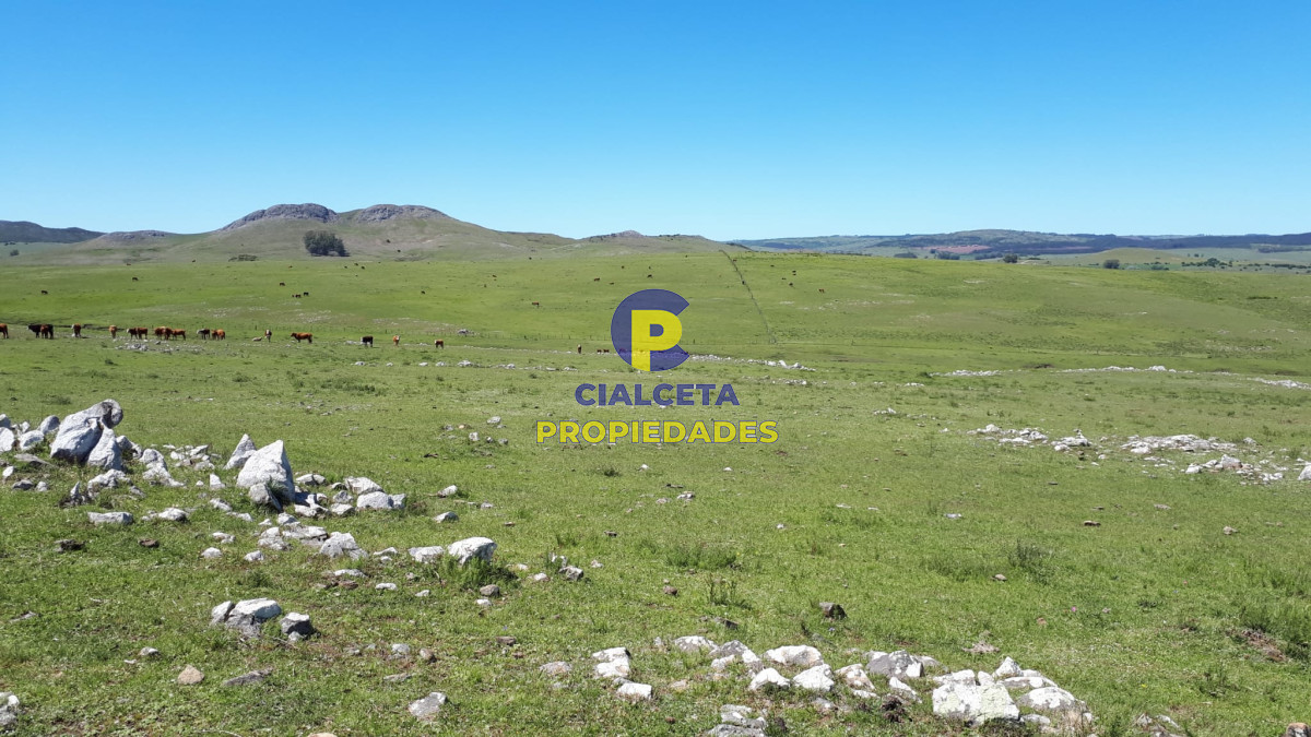 Campo Ref.323 - 115 hectáreas en Lavalleja