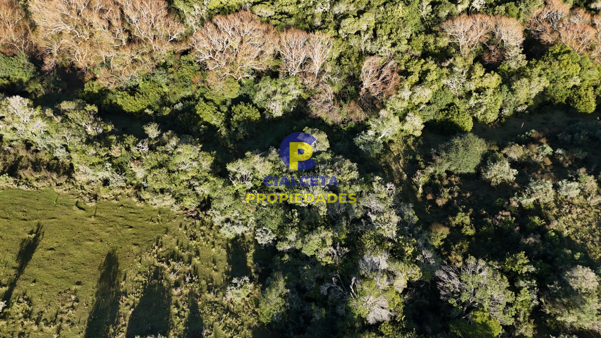 Campo Ref.457 - 28 hectáreas con cañada y monte nativo, Maldonado