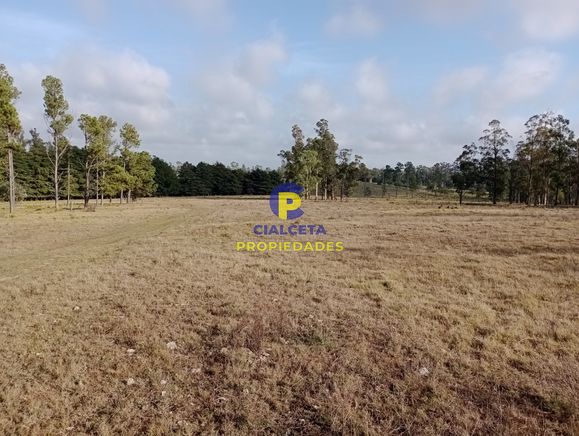 Campo Ref.103 - 94 hectáreas en Maldonado